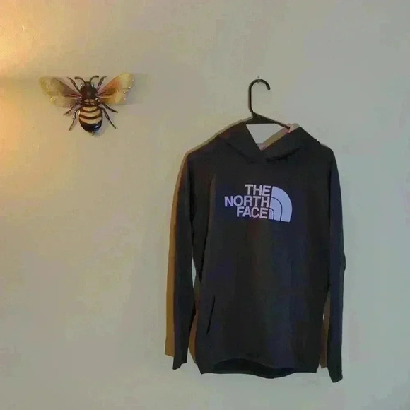 The North Face Tops - The North Face gray and purple Hoodie, large